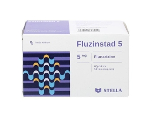 Fluzinstad