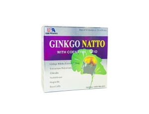 GINKGO NATTO 120