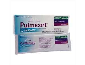 "PULMICORT RESPULES 500MCG /2ML"