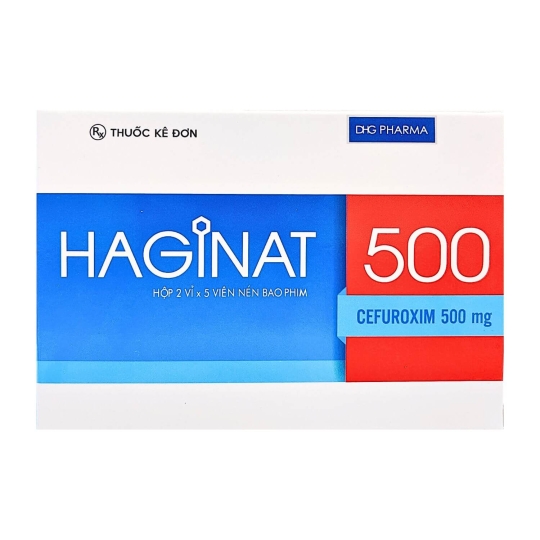 Haginat 500 