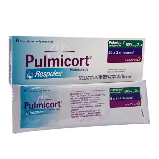 "PULMICORT RESPULES 500MCG /2ML"